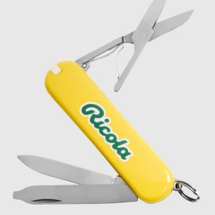Victorinox Classic Taschenmesser klein